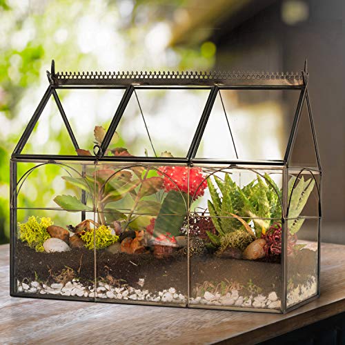 D'Eco Glass Greenhouse Centerpiece (10x4.5x9) - Spring Home Decor & Wedding Letterbox - Tabletop Geometric Planter Terrarium - Fill with Succulents, Moss, Flowers for Plant Lovers - size: Greenhouse