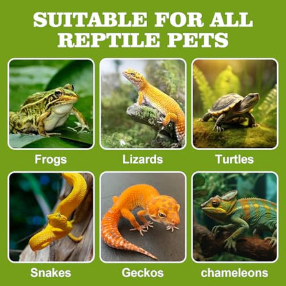 Gecko Feeding Ledge, Double Reptile Water Bowl Food Dish Reptile Feeder with 4PCS Suction Cup for Snake Bearded Dragon Tortoise