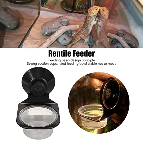 Naroote Crested Gecko Food Dish, Reptile Water Food Feeder Pot, Hanging Transparent Reptile Food Water Bowl Gecko Food Cups with Suction Cup for Pet Food and Water Feeding (Single Bowl)