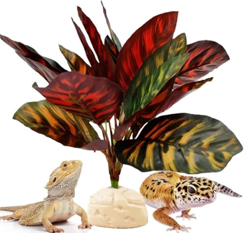 Reptile Terrarium Decor Plants,Amphibian Habitat Decor,Artificial Plants for Tank Accessories (Calathea makoyana -B) - color: Purple Calathea Makoyana