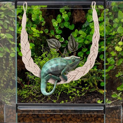 Hermit Crab Toys Tank – Reptile Terrarium Accessories Climbing, Jute Rope Ladder Lizards, Geckos Snakes | Tank - Reptile Terrarium Accessories Climbing Jute Rope Ladder Lizards Geckos S - color: Beige
