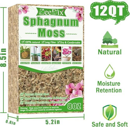ZeeDix 8 oz Sphagnum Moss for Indoor Plants, Natural Orchid Potting Mix for Repotting, Dried Long Fiber Sphagnum Peat Moss for Carnivorous Plants Succulents Reptile Habitats (Expands to 12 qt) - size: 8 ounces
