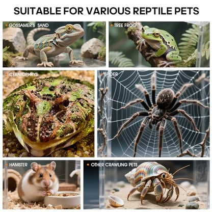 MYGIIKAKA Jumping Spider Enclosure Accessories, Tarantula Spider Box, Bug Cage, Praying Mantis Habitat Enclosure, Snail Insect Terrarium, Caterpillar Habitat (6x6x12 inch) - size: 6x6x12 inch