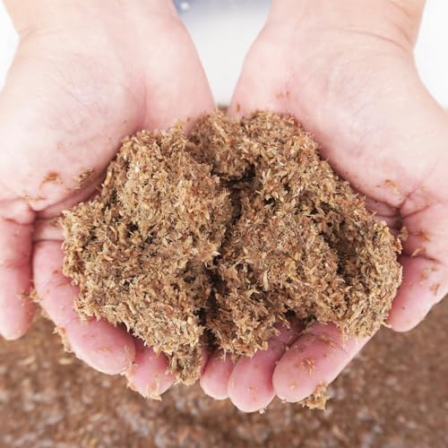 2 Quarts Organic Fiber Substrate for Pet Snail, Ideal Snail Terrarium Accessories for Retains Moisture (Pack of 2) - size: 2QT (Pack of 2)