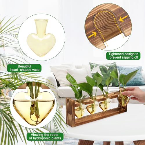 Plant Propagation Stations Heart Plant Terrarium Kit Gift for Women Plant Lover Glass Vases - color: Gold