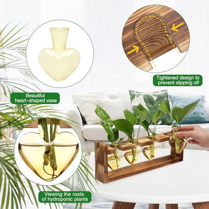 Plant Propagation Stations Heart Plant Terrarium Kit Gift for Women Plant Lover Glass Vases - color: Gold