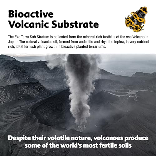 Exo Terra Sub Stratum, Bioactive Volcanic Substrate for Reptile Terrariums, Eliminates Odor, Offers Correct Moisture Levels 4.4 lb