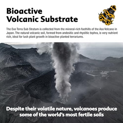 Exo Terra Sub Stratum, Bioactive Volcanic Substrate for Reptile Terrariums, Eliminates Odor, Offers Correct Moisture Levels 8.8 lb - size: 8.8 lb
