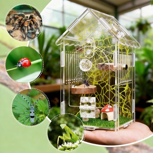 Hysagtek Jumping Spider Enclosure - Acrylic Arboreal Tarantula Enclosure Small Reptile Terrarium with Magnetic Door, Clear Jumping Spider Enclosure Accessories