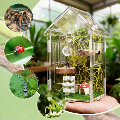 Hysagtek Jumping Spider Enclosure - Acrylic Arboreal Tarantula Enclosure Small Reptile Terrarium with Magnetic Door, Clear Jumping Spider Enclosure Accessories