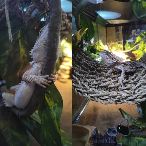 5 PCS Tank Accessories for Bearded Dragon Include Resin Classical Castle Reptile Climb Habitat Decor Hanging Jungle Vines Flexible Leaves Climbing Decor for Lizard Gecko Chameleon Spider
