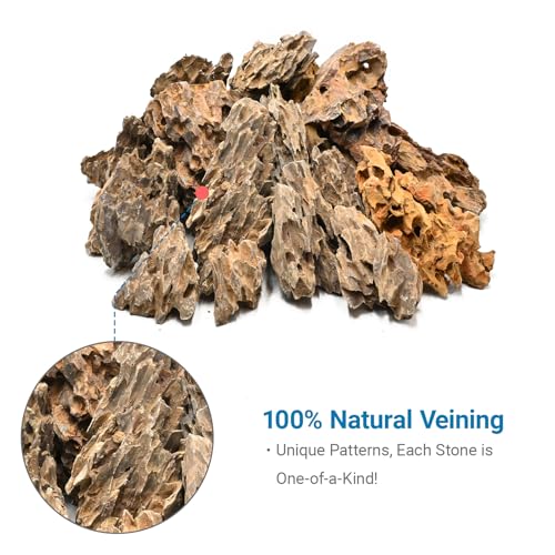 Aquarium Rocks 5lb Dragon Stone for Aquariums Aquascaping Landscaping Model Fish Tanks Terrariums Vivariums Decoration Paludarium Amphibian Enclosures-2-4 Inches - size: 5LB(2-4 Inches)