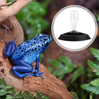LIOOBO Automatic Reptile Drinking Bowl Durable Water Dispenser for Tortoises and Lizards Stable Design with Stair Access for Easy Drinking Environmentally Friendly Pet Feeding Tool