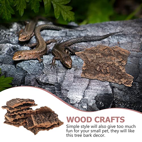 Homoyoyo 10pcs Cork Bark Decorations Chameleon Tank Background Snake Tank Decorations