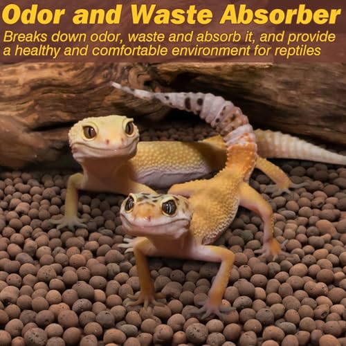 ZeeDix 4 LBS Reptile Substrate Leca Balls - 100% Organic Expanded Clay Pebbles, Ideal Bioactive Terrarium Clay Balls Substrate for Reptile Terrarium Tank, Bearded Dragon, Tortoise, Gecko, Snake & Frog - color: 4LBS