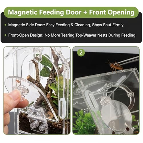 Jumping Spider Enclosure, Acrylic Terrarium Habitat with Magnetic Front Door & Full Ventilation, with Tweezers and Temperature Sticker, for Spiderling and Micro Reptiles