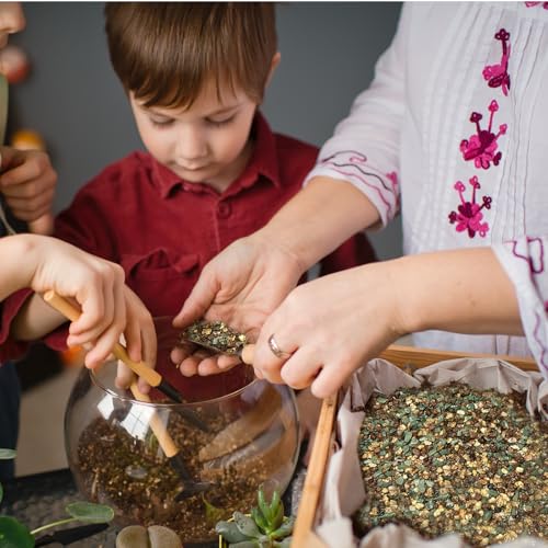 Doter Terrarium Potting Soil Mix 4qt, Custom Made for Terrariums, Perfect for Vibrant Miniature Gardens - size: 4qt