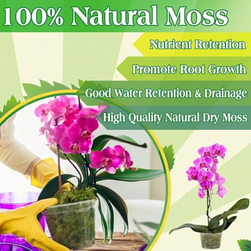Halatool 2.2LBS Forest Green Moss for Indoor Potted Plants, Orchid Potting Mix, Indoor Potting Plant Moss for Repotting Terrariums Garden Reptiles - size: 2.2lb