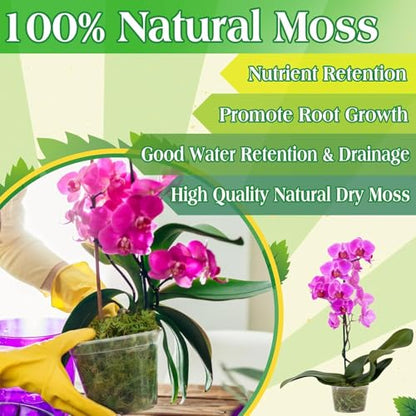Halatool 2.2LBS Forest Green Moss for Indoor Potted Plants, Orchid Potting Mix, Indoor Potting Plant Moss for Repotting Terrariums Garden Reptiles - size: 2.2lb