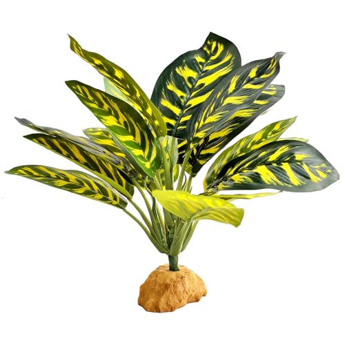 Woyrise Reptile Artificial Plants for Terrarium Decor, Amphibian Habitat Decorations Bearded Dragon Tank Accessories fit Crested Gecko Leopard Lizard Chameleon Ball Python Snake Frog - Prayer Peacock - color: B-prayer Peacock