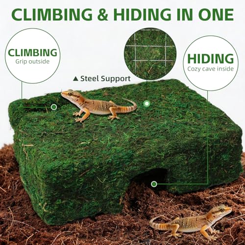 M Size Green Moss Reptile Cave, Safe Hide for Snakes & Geckos | Natural green moss finish, Smooth rounded entry edge, Handcrafted durability - color: M Green