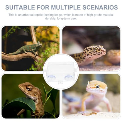 Cabilock Escape-Proof Reptile Feeding Bowls 2pcs Small Reptile Food and Water Basins with Suction Cups for Bearded Dragon, Gecko, Lizard Terrarium Supplies