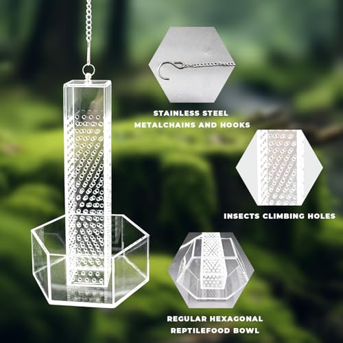 Hookable Bearded Dragon Feeder, Chameleon Feeding Bowl, Hanging Transparent Acrylic Reptile Feeder with Column for Insects to Climb, Tank Aquarium Accessories for Lizard Lguana Gecko Toad Frog - color: Transparent