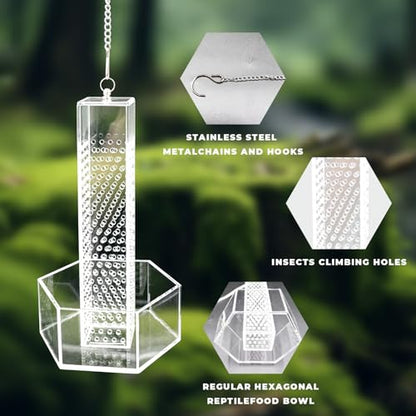 Hookable Bearded Dragon Feeder, Chameleon Feeding Bowl, Hanging Transparent Acrylic Reptile Feeder with Column for Insects to Climb, Tank Aquarium Accessories for Lizard Lguana Gecko Toad Frog - color: Transparent