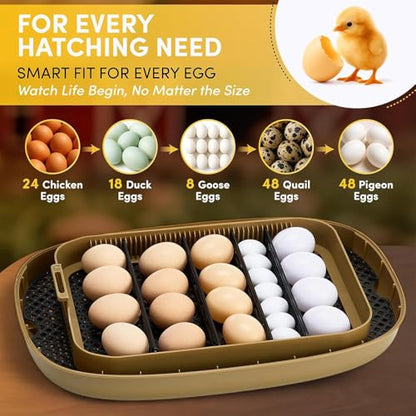 24 Egg Incubator, Incubators for Hatching Eggs with Fully Automatic Turner & Candler, Smart Temperature & Humidity Control, 360° View, Hatching Chicken, Duck, Quail, Goose Eggs for Farm, Home, School