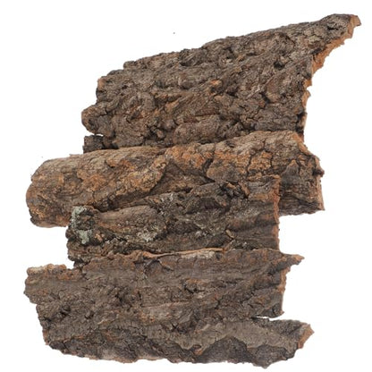 balacoo Reptile Bark Climbing Tree Decor 9.05In Natural Cork Wood Terrarium Accessories Reptile Hideout for Snakes Lizards Tortoise Habitat
