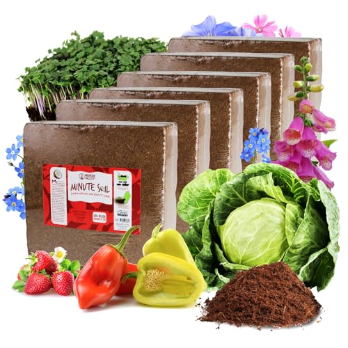 Mountain Valley Seed Co Soil Blocks - 6 Pack - Compressed Coco Coir | Expands 15x with water, ~90 gal per 6-pack. OMRI Listed. Peat-free coco coir for beds, containers & microgreens. - size: 6 Blocks