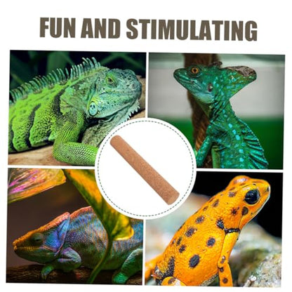 BESPORTBLE Reptile Cork Wood Climbing Branch for Habitats Sturdy Resting Stick for Lizard and Bird Tanks Natural Decoration for Safe Basking and Climbing