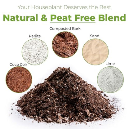 Perfect Plants Indoor Plant Soil 8qt | Perfectly Balanced Potting Mix | Gardening Substrate for All Varieties of Live houseplants (Pack of 2) - size: 8qts. (Pack of 2)
