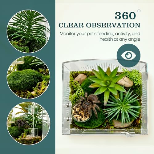 Acrylic Jumping Spider Enclosure, Clear Spider Enclosure Kit with Ventilation, Pre-Assembled Habitat for Jumping Spiders, Tarantula, Mantis, Insects