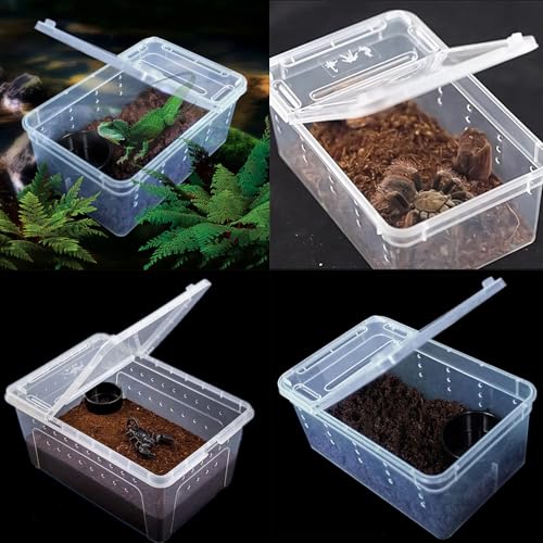 Critter Keeper 2-Pack, Cricket Cage & Reptile Feeding Box 12.59"x8.66"x5.9" Transparent Portable Plastic Snake Habitat Escape-Proof Ventilated Design for Gecko, Tarantula, Scorpion, Spider, Frog