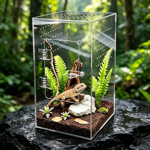 Jumping Spider Enclosure 12x6x6 Inch Acrylic Reptile Terrarium Tank with Front Opening Door - Vertical Habitat for Tarantulas, Praying Mantis, Hermit Crabs & Small Pets