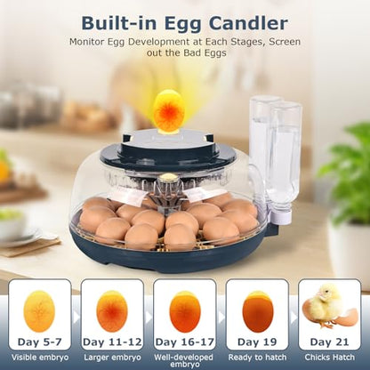 Incubators for Hatching Eggs, 18 Eggs Incubator with Egg Candler, Auto Egg Turner, Temp & Humidity Control, Hatch Day, Auto Water Refill, 2 Size Egg Tray, 360° Viewing for Chicken, Duck, Quail - size: 18 Chicken Eggs