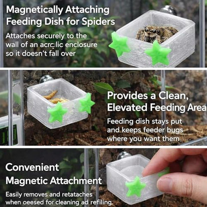 3 Pcs Magnetic Jumping Spider Feeding Dish Jumping Spider Enclosure Accessories Star-Shaped Design Reptile Water Bowl for Other Small Reptiles or Insects (Transparent + Light Green) - color: Transparent + Light Green