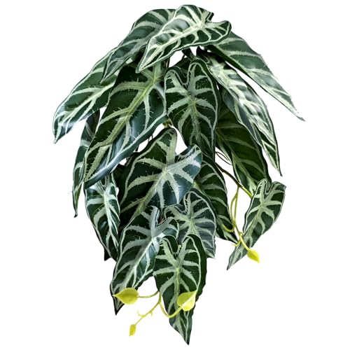 Woyrise Reptile Plants, Terrarium Hanging Plant Vines, Artificial Leaves with Suction Cup, Bearded Dragon Tank Accessories for Gecko Lizard Snake Frog Tortoise Decorations - Alocasia Velvet - color: E-fake Alocasia Black Velvet