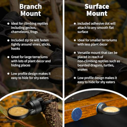 Pangea Microdish Kit for Gecko Feeding, Tiny Water Dish for Micro Geckos, Anoles, and Other Small Reptiles, Zip Tie Attachment Pet Food Bowl 1.25in (XS Dual Branch Mount) - size: XS Dual Branch Mount