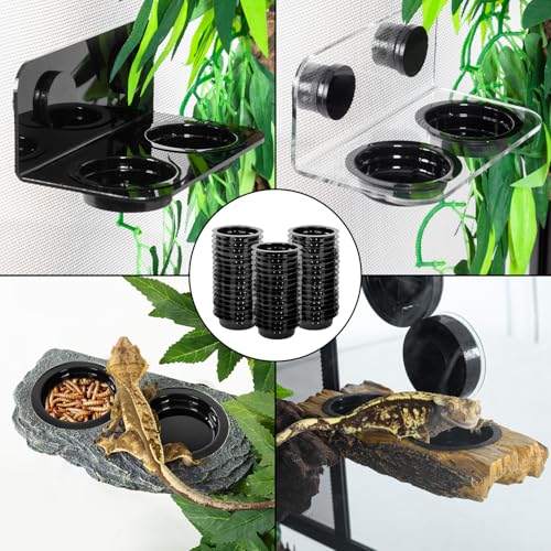 WACOOL Magnetic Reptile Ledge, Acrylic Gecko Feeding Ledge with 6PCS Cups, Reptile Food Water Feeder Dish for Geckos Iguana Chameleon Pets (Cups)