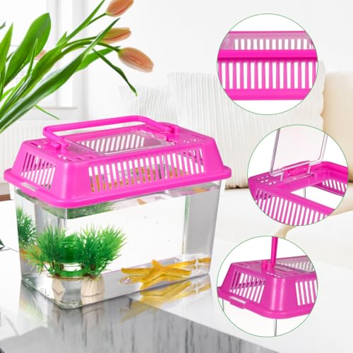 POPETPOP 4 Pcs Plastic Small Fish Tank: Mini Reptile Terrariums Carrier Cage, Transparent Portable Reptile Enclosure for Jumping Spider, Snake, Fish, Turtle (Random Color Lid)