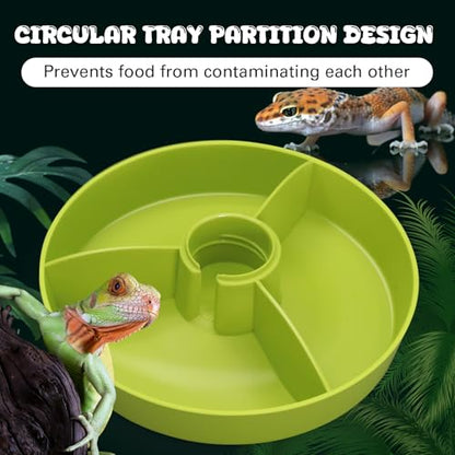 2 in 1 Reptile Food Feeders Bowl Water Bottle, Automatic Water Dispenser Reptile Feeder Kit for Amphibian Lizard Bearded Dragon Snake Feeding (Green) - color: Green