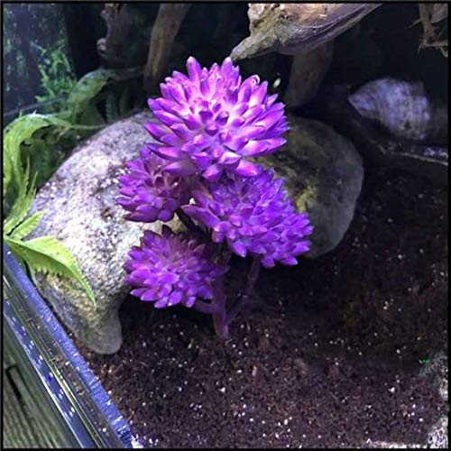 Reptile Plants Artificial Terrarium Plants Reptile Plastic Plants for Reptile Habitats with Base -Purple… - color: Purple