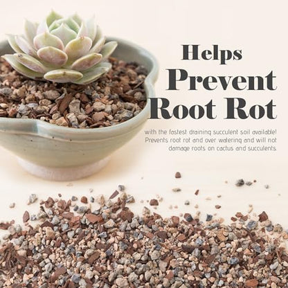 Bonsai Jack Succulent, Cactus and Bonsai Soil - Jacks Gritty Mix - 2 Quarts – Fast Draining – Fight Root Rot – Optimized pH - size: 1/2 Gallon (2 Dry Quarts)