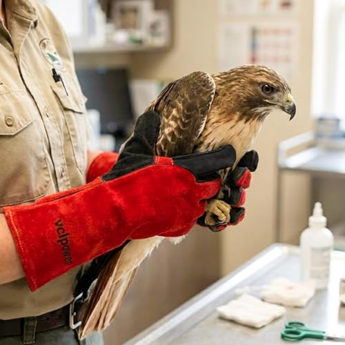 vclpower Animal Handling Gloves Size XL Fit for Men & Large Hands Bite Proof Double Leather Reinforced Padding Dog,Cat Scratch,Bird Handling Falconry Gloves Grabbing Reptile Squirrel Snake Bite 16in | Size XL Fit for Men & Large Hands - size: XL