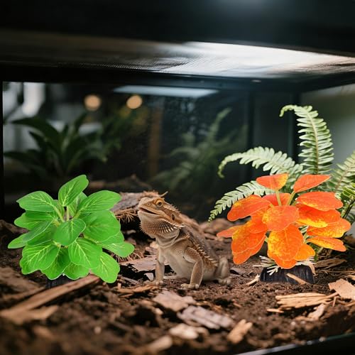 5pcs Crested Gecko Hide Leaf Reptile Wall Climbing Gecko Toy Tank Accessories Including Wall & Dodging Leaves Plastic Reptile Thank Decorations for Turtle Tree Frog Snake Terrarium