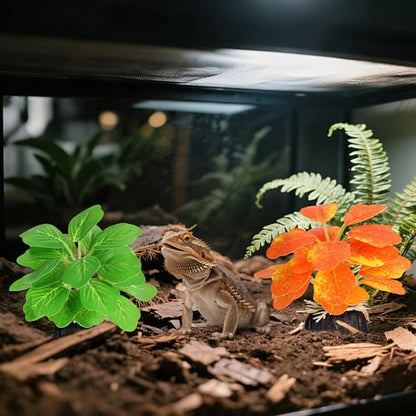 5pcs Crested Gecko Hide Leaf Reptile Wall Climbing Gecko Toy Tank Accessories Including Wall & Dodging Leaves Plastic Reptile Thank Decorations for Turtle Tree Frog Snake Terrarium