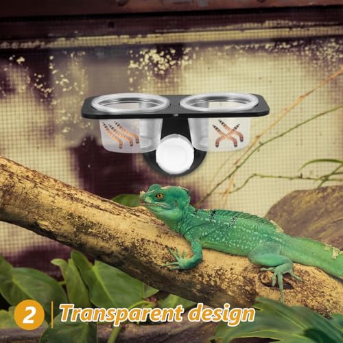 POPETPOP Reptile Feeder Bowl with Suction Cup 4.52X2.36X6.49In Water and Food Container for Lizard Turtle Gecko Chameleon Scorpion Tank Accessories