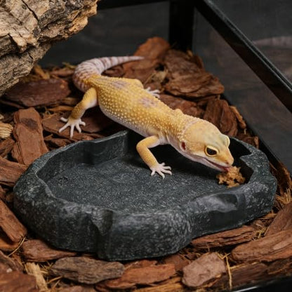 Resin Rock Reptile Food and Water Bowl, Terrarium Dish for Bearded Dragon, Leopard Gecko, Lizard, Tortoise Feeder Accessories - color: Dark green M